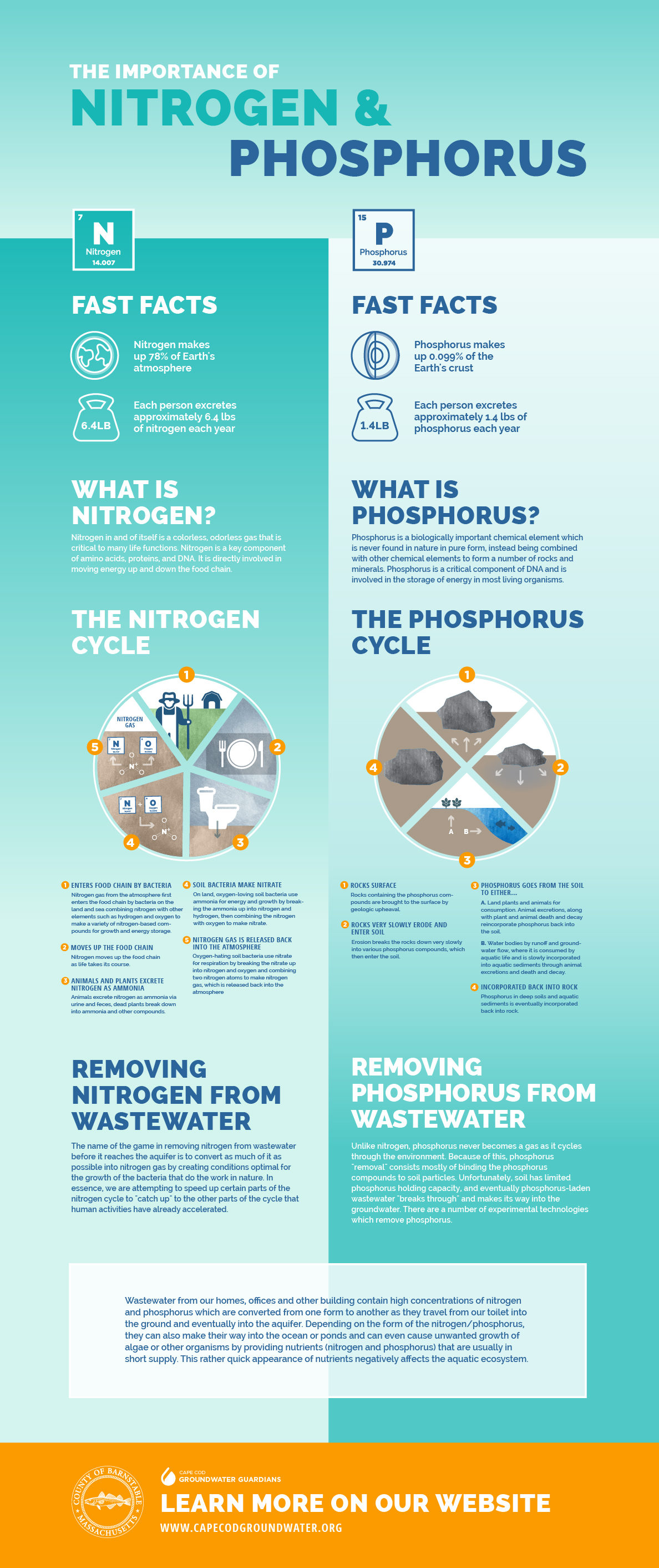 https://www.capecodgroundwater.org/wp-content/uploads/2018/06/Nitrogen-Phosphorus-1188x2824.jpg